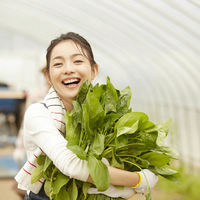 野菜ソムリエ