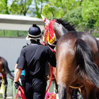 調教師